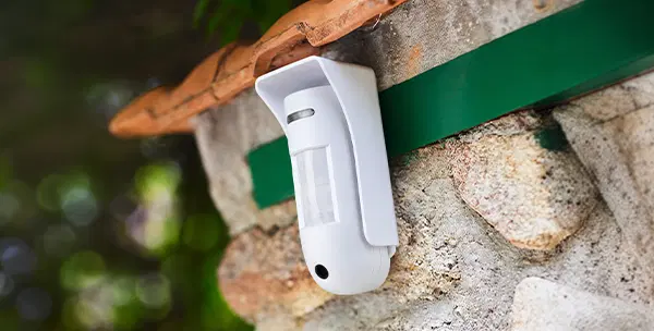 Detector con cámara exterior