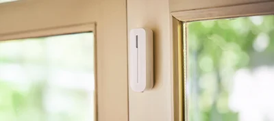 Imagen Detector inercial