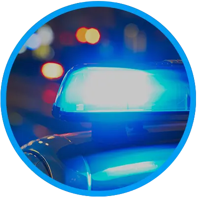 Alarma con mascota con conexión a Policía Alarma con mascota con conexión a Policía